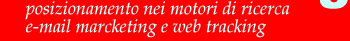 posizionamento nei motori di ricerca   e-mail marketing e web tracking